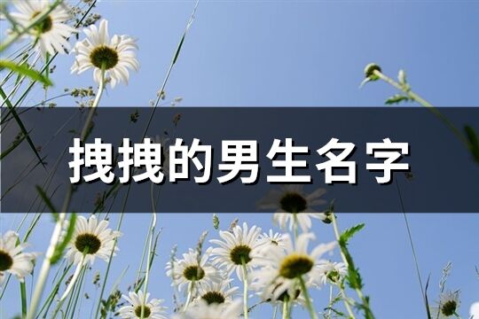 拽拽的男生名字(共924个)