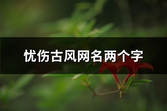 忧伤古风网名两个字(精选792个)