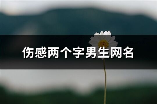 伤感两个字男生网名(优选544个)