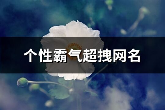 个性霸气超拽网名(430个)