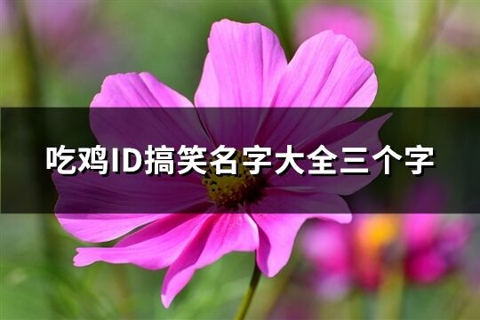 吃鸡ID搞笑名字大全三个字(精选616个)