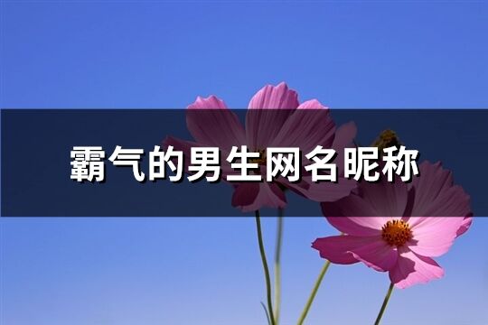 霸气的男生网名昵称(优选450个)