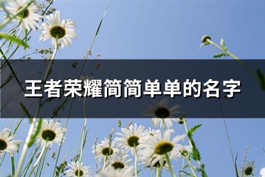 王者荣耀简简单单的名字(优选543个)