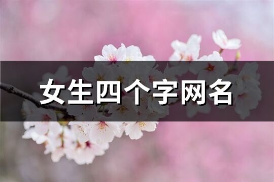 女生四个字网名(精选885个)