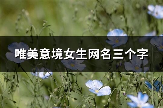 唯美意境女生网名三个字(共408个)