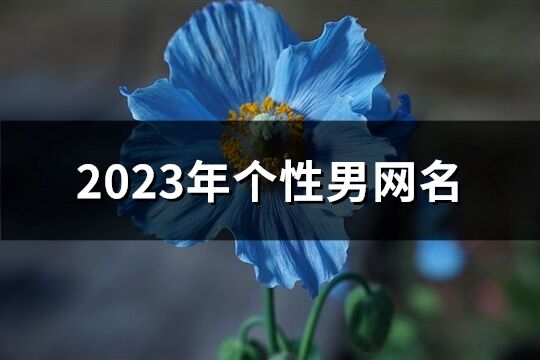 2023年个性男网名(优选1207个)