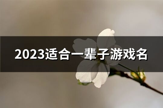 2023适合一辈子游戏名(优选237个)