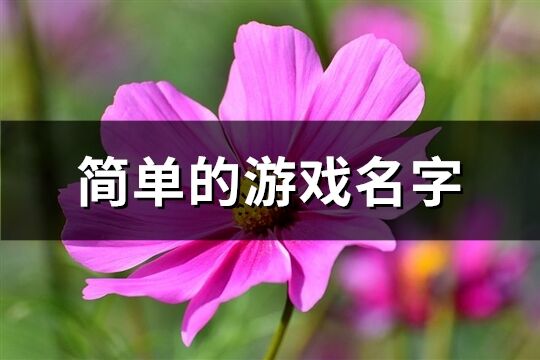 简单的游戏名字(共490个)