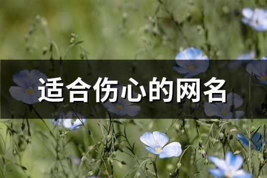 适合伤心的网名(精选731个)