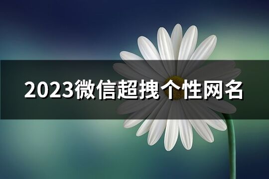 2023微信超拽个性网名(共1645个)