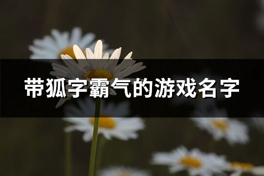 带狐字霸气的游戏名字(60个)