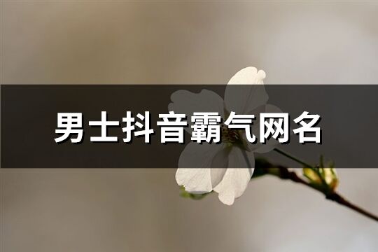 男士抖音霸气网名(优选502个)