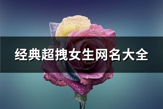 经典超拽女生网名大全(精选120个)