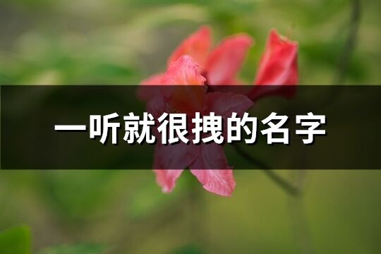 一听就很拽的名字(共237个)