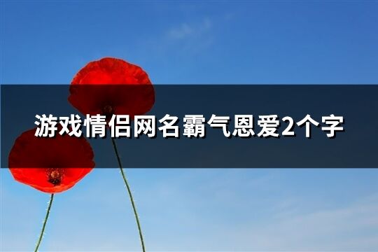 游戏情侣网名霸气恩爱2个字(共238个)