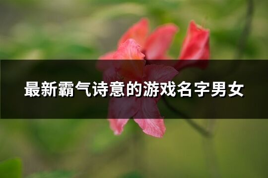 最新霸气诗意的游戏名字男女(精选969个)