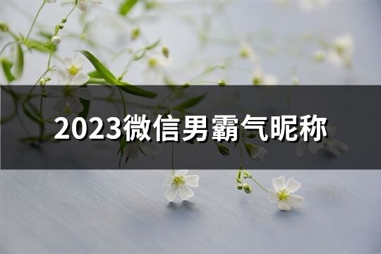 2023微信男霸气昵称(共252个)