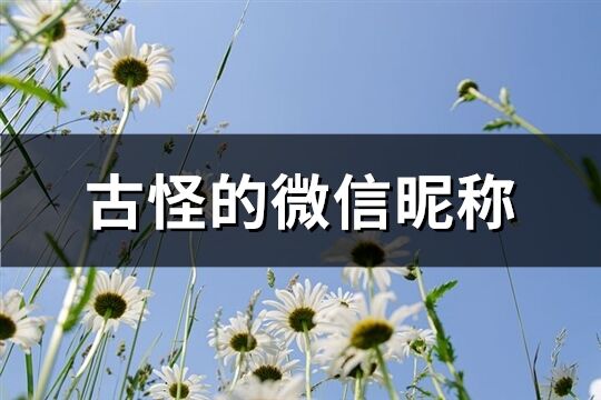 古怪的微信昵称(精选220个)