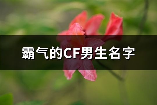 霸气的CF男生名字(144个)