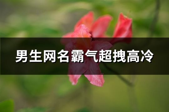 男生网名霸气超拽高冷(共104个)