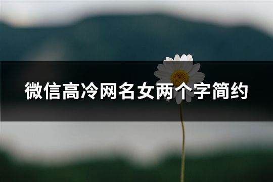 微信高冷网名女两个字简约(精选84个)