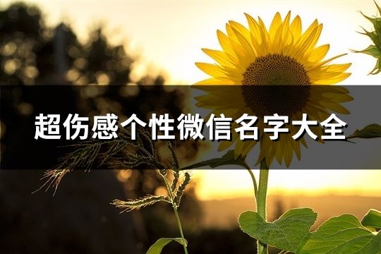 超伤感个性微信名字大全(160个)