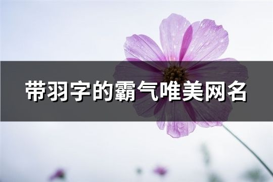 带羽字的霸气唯美网名(共156个)