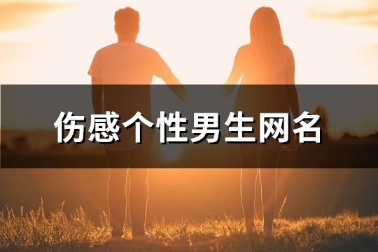 伤感个性男生网名(共69个)