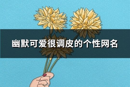 幽默可爱很调皮的个性网名(精选92个)