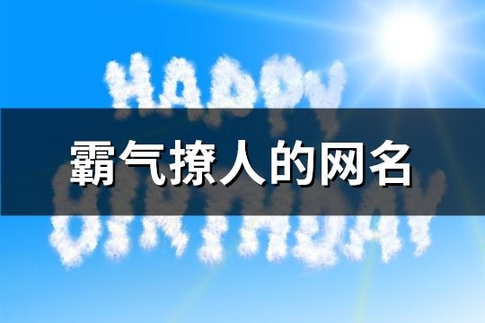 霸气撩人的网名(168个)