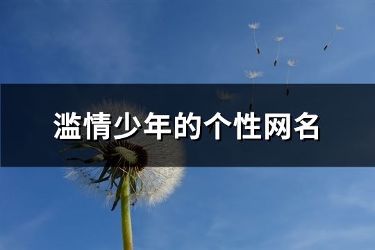 滥情少年的个性网名(共191个)