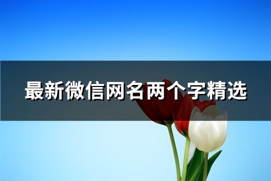 最新微信网名两个字精选(共62个)