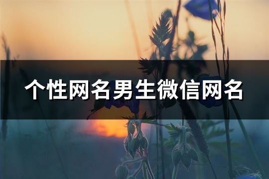 个性网名男生微信网名(精选150个)