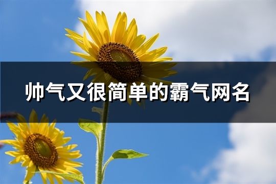 帅气又很简单的霸气网名(共94个)