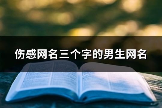 伤感网名三个字的男生网名(共184个)