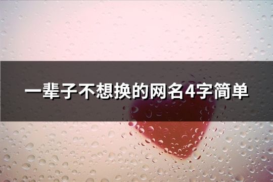 一辈子不想换的网名4字简单(154个)