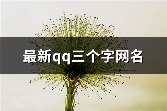 最新qq三个字网名(精选175个)