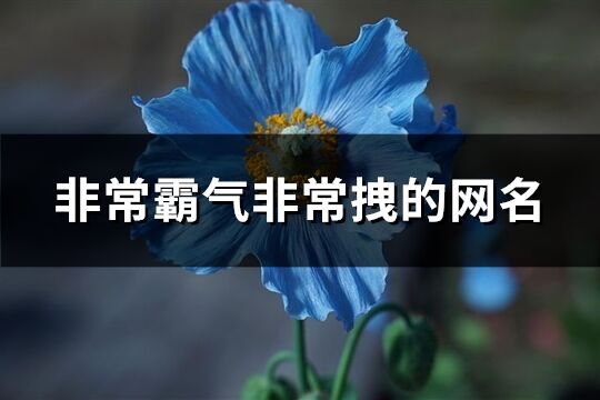 非常霸气非常拽的网名(108个)