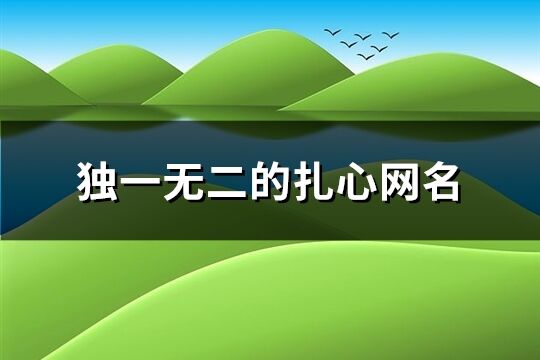 独一无二的扎心网名(235个)