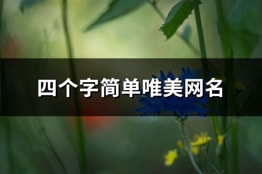 四个字简单唯美网名(精选118个)