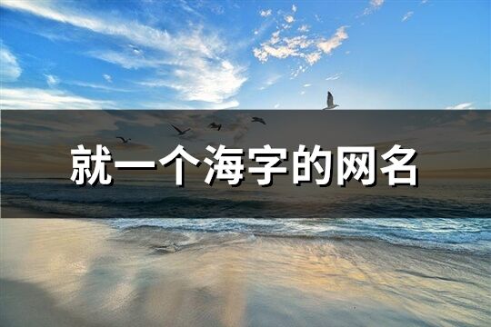 就一个海字的网名(228个)