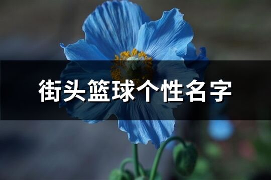 街头篮球个性名字(144个)