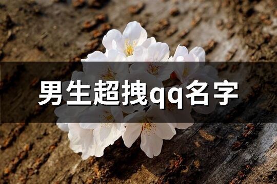 男生超拽qq名字(201个)