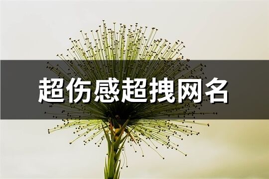 超伤感超拽网名(262个)