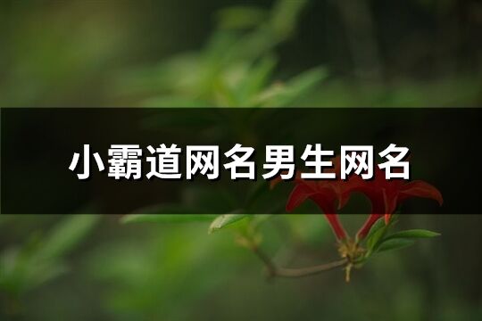 小霸道网名男生网名(共61个)