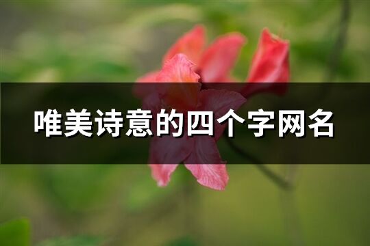 唯美诗意的四个字网名(139个)