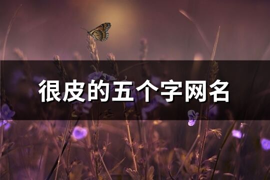 很皮的五个字网名(精选257个)