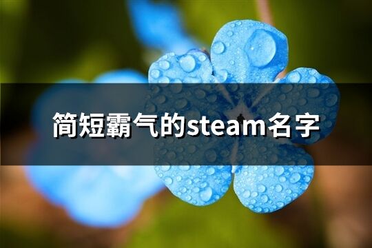 简短霸气的steam名字(精选189个)