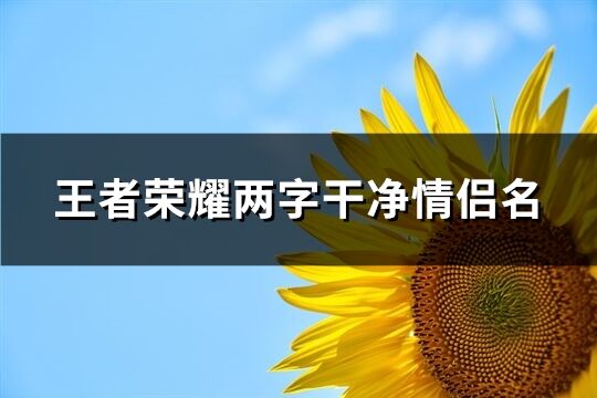 王者荣耀两字干净情侣名(260个)