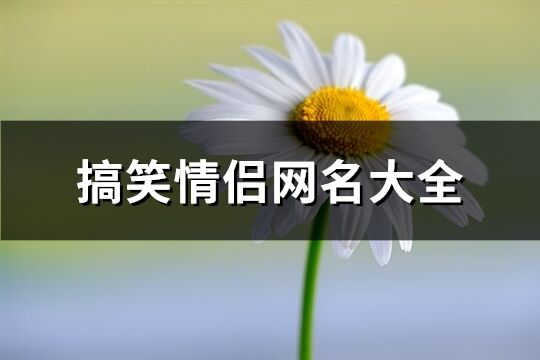 搞笑情侣网名大全(共289个)